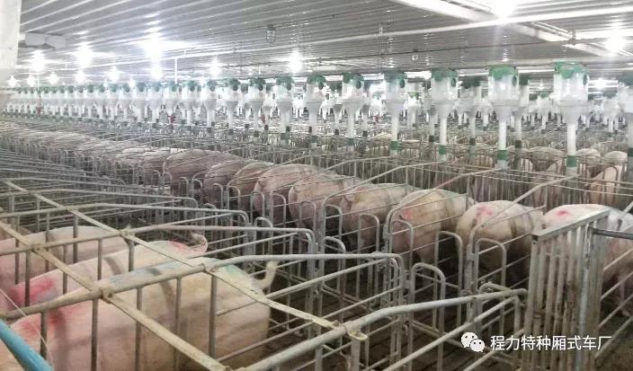 豬價下降，對畜牧行業專用車帶來什么信號？